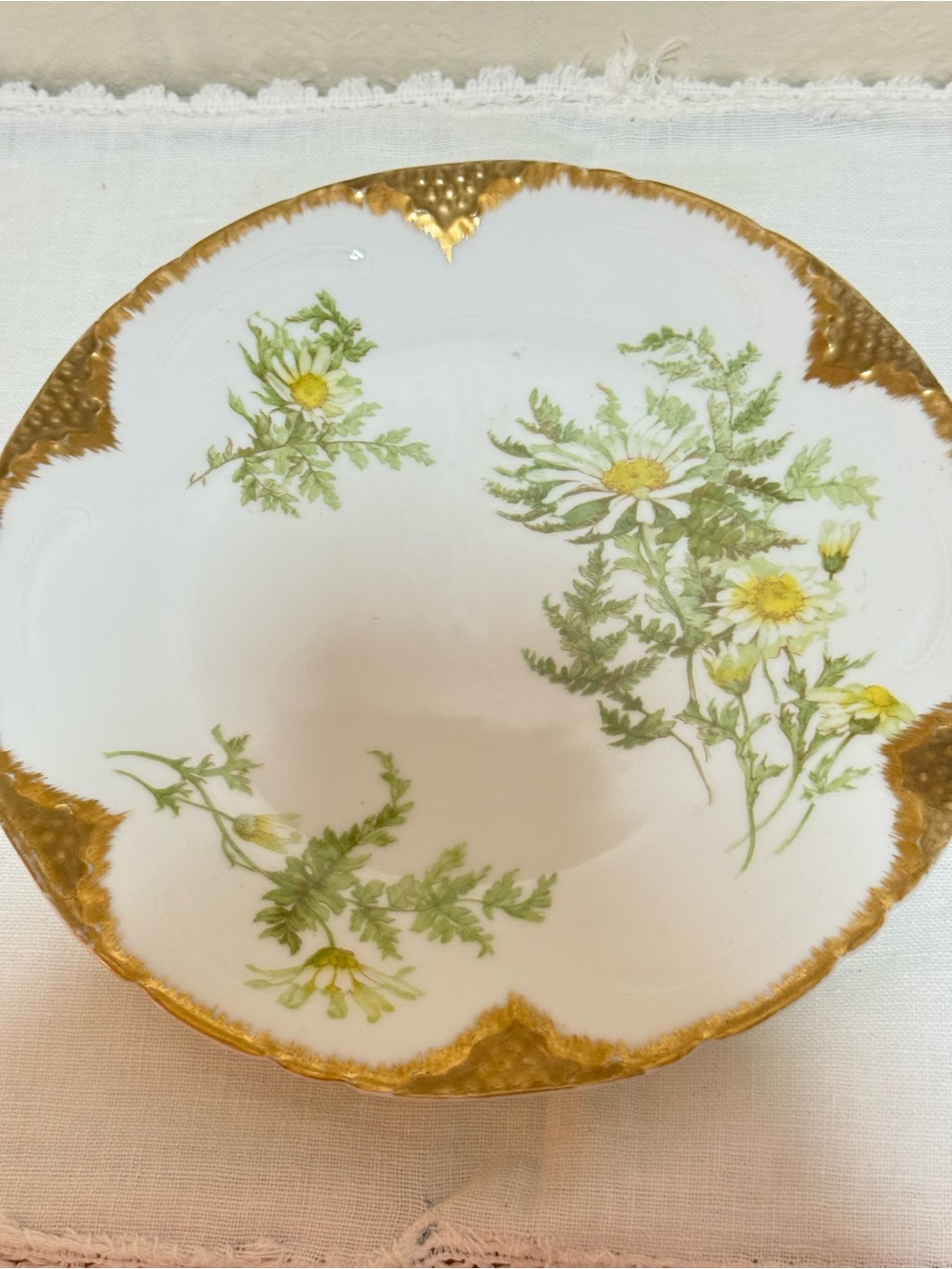 Antique Limoges D&c France Delinieres Plate, Victorian